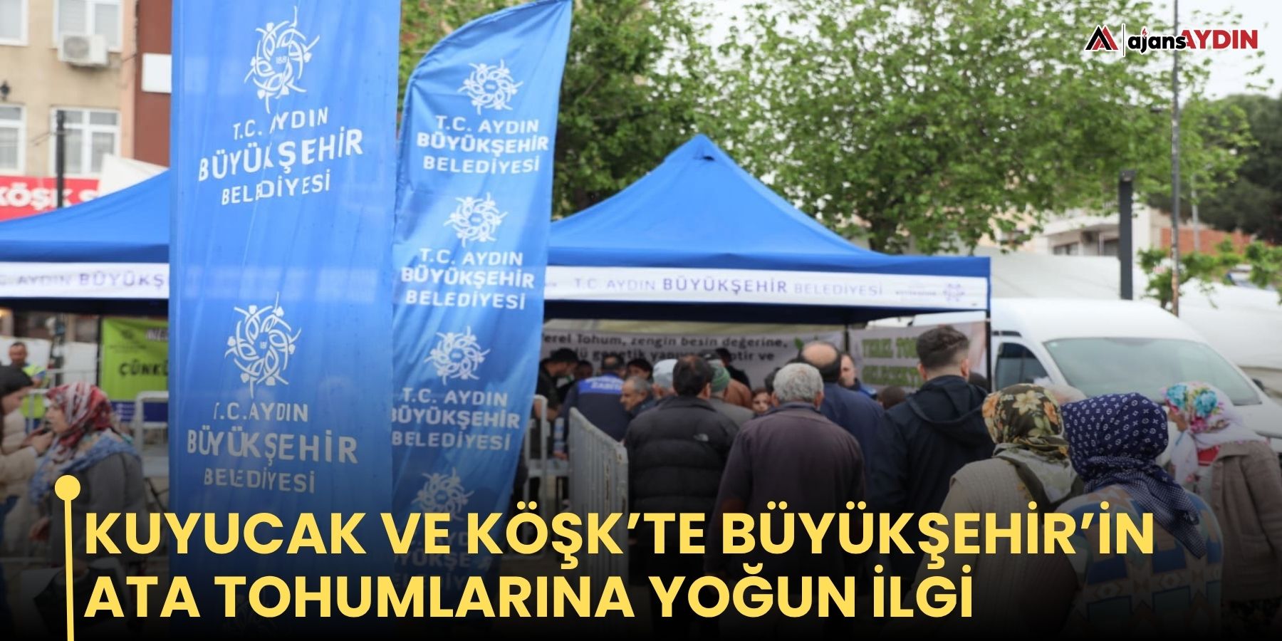 Kuyucak ve Köşk’te büyükşehir’in ata tohumlarına yoğun ilgi