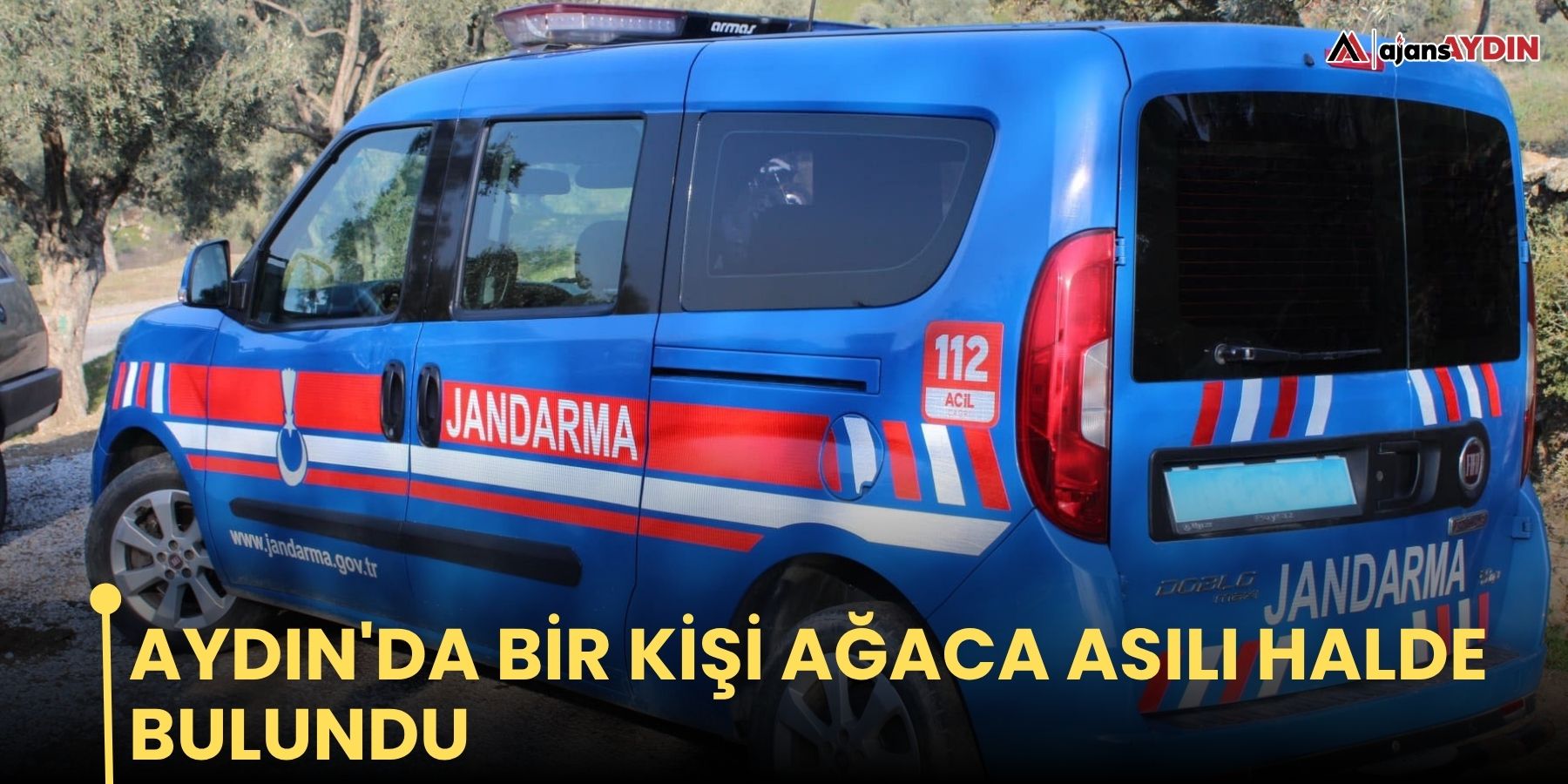 Aydın'da bir kişi ağaca asılı halde bulundu
