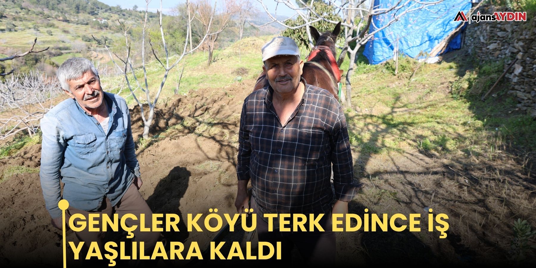 Gençler köyü terk edince iş yaşlılara kaldı