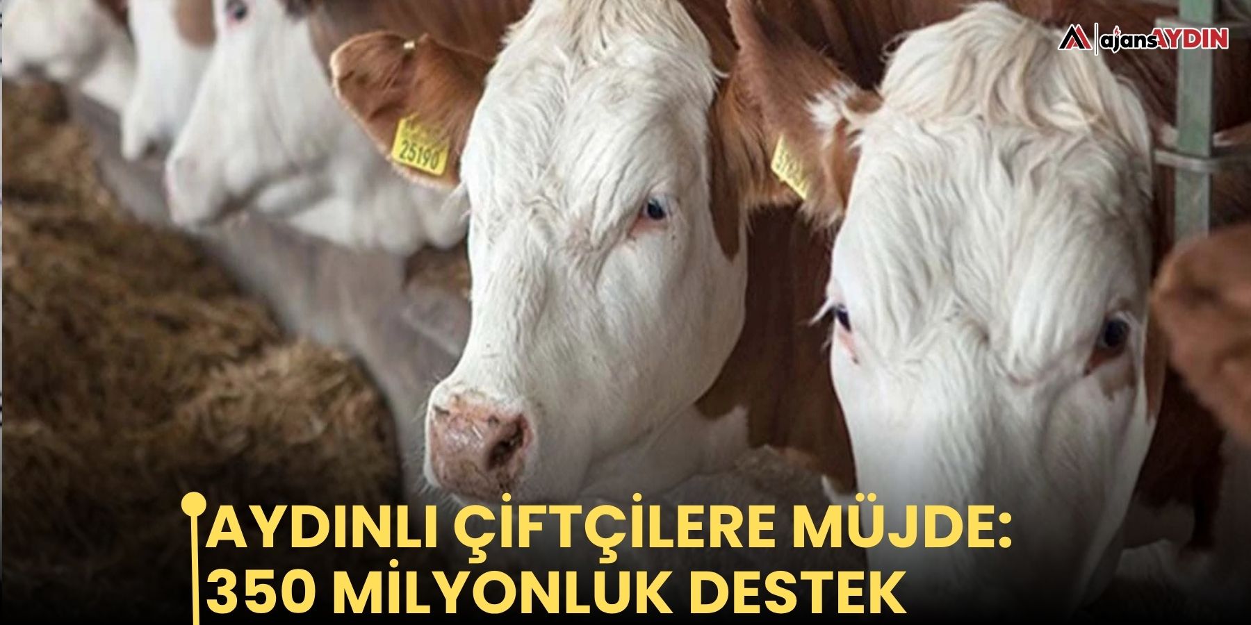 Aydınlı çiftçilere müjde: 350 milyonluk destek