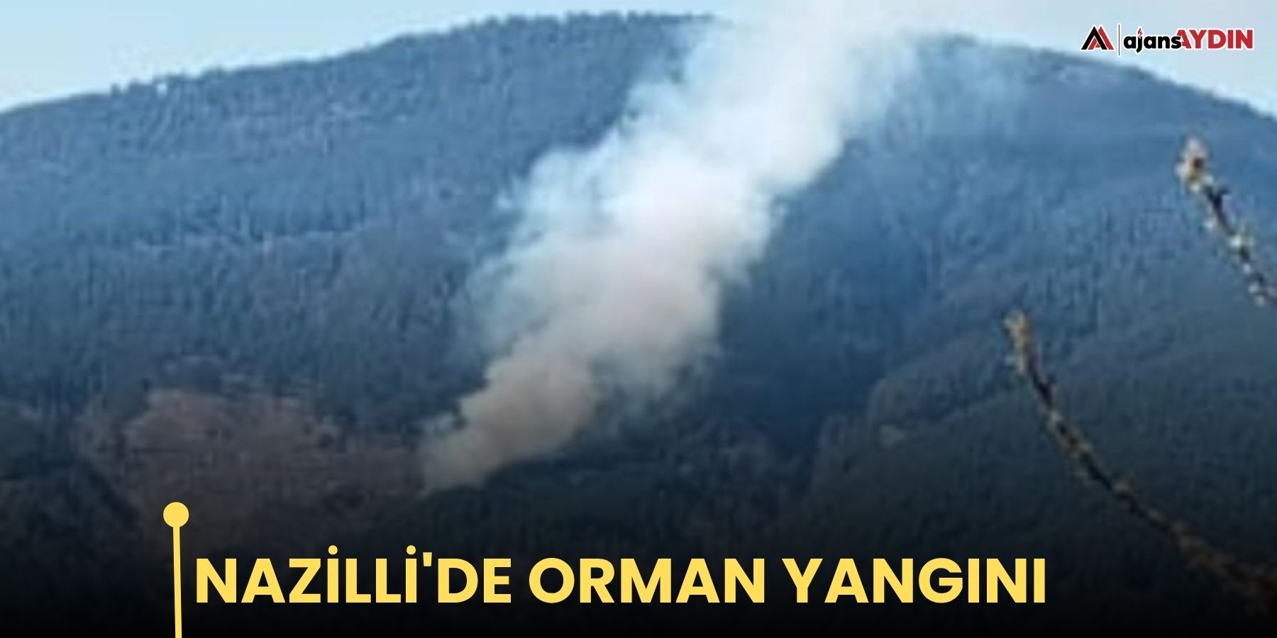 Nazilli'de orman yangını