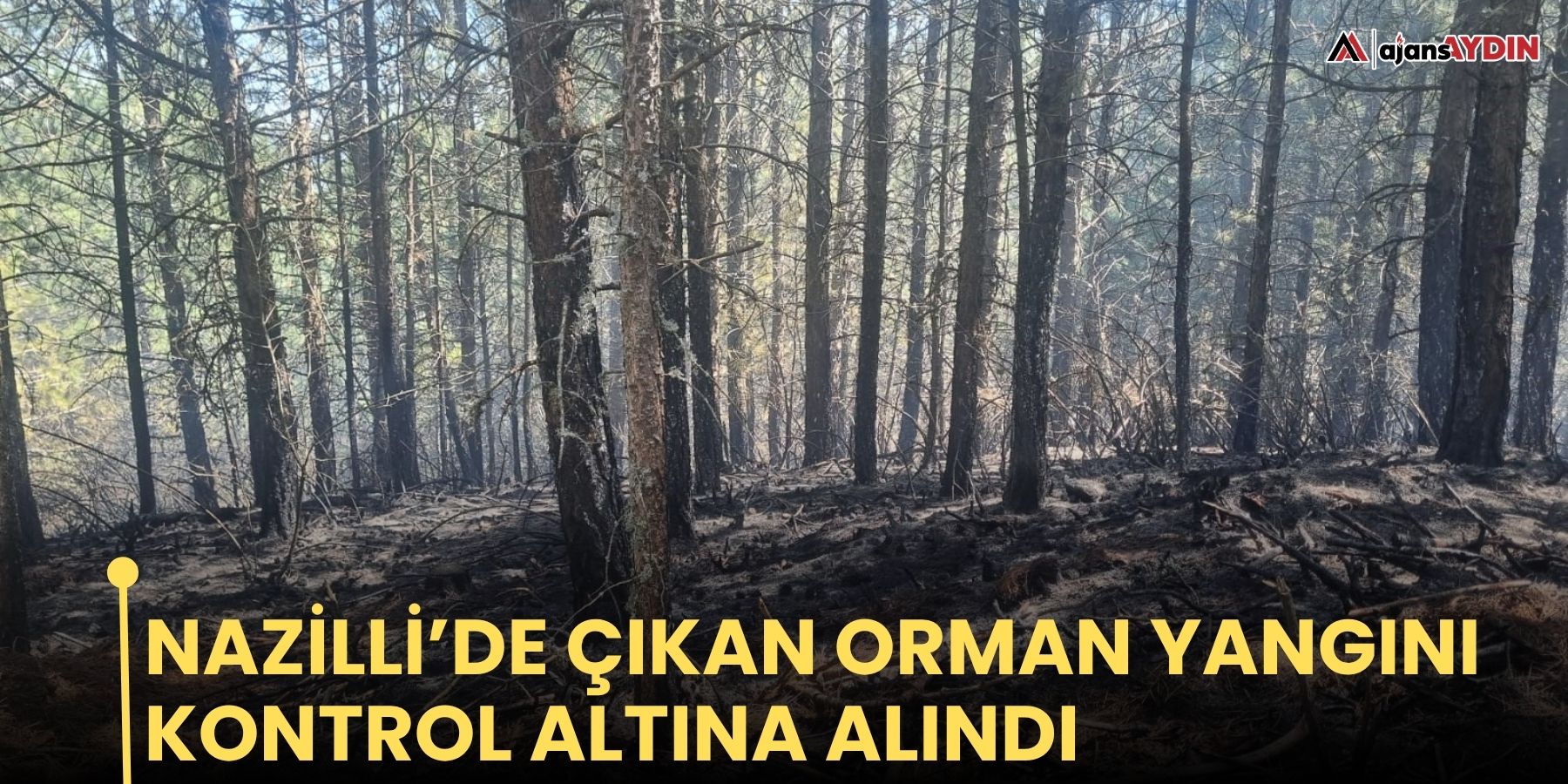 Nazilli’de çıkan orman yangını kontrol altına alındı