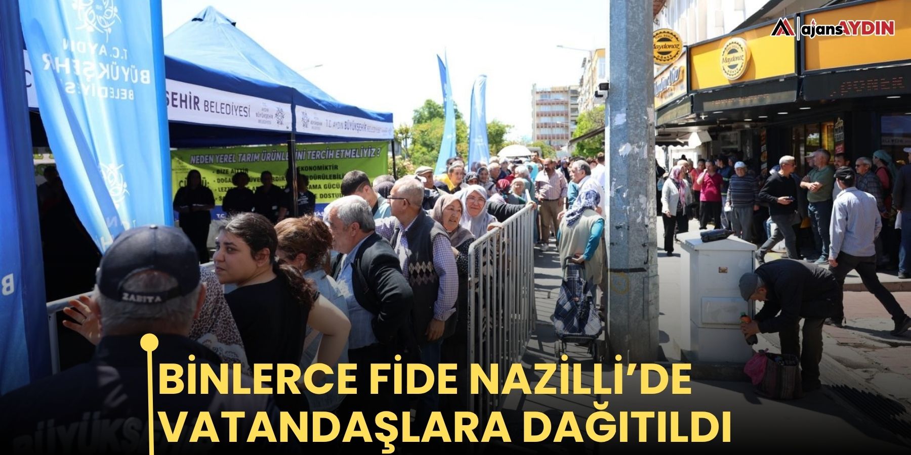 Binlerce fide Nazilli’de vatandaşlara dağıtıldı
