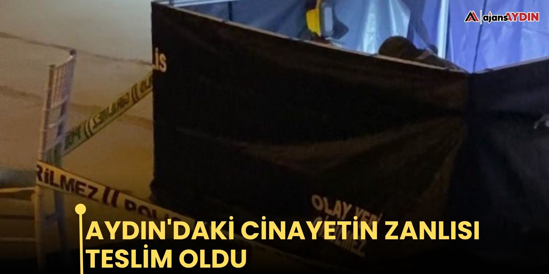 Aydın'daki cinayetin zanlısı  teslim oldu
