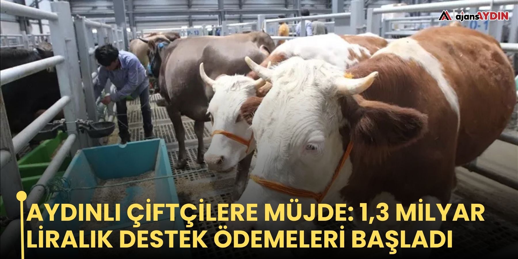 Aydınlı çiftçilere müjde: 1,3 milyar liralık destek ödemeleri başladı