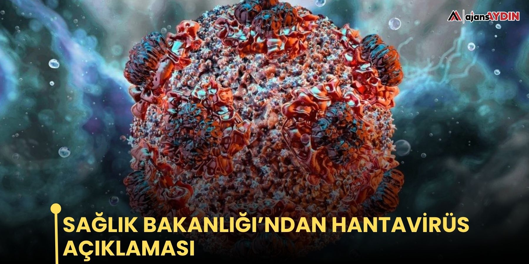Sağlık Bakanlığı’ndan hantavirüs açıklaması