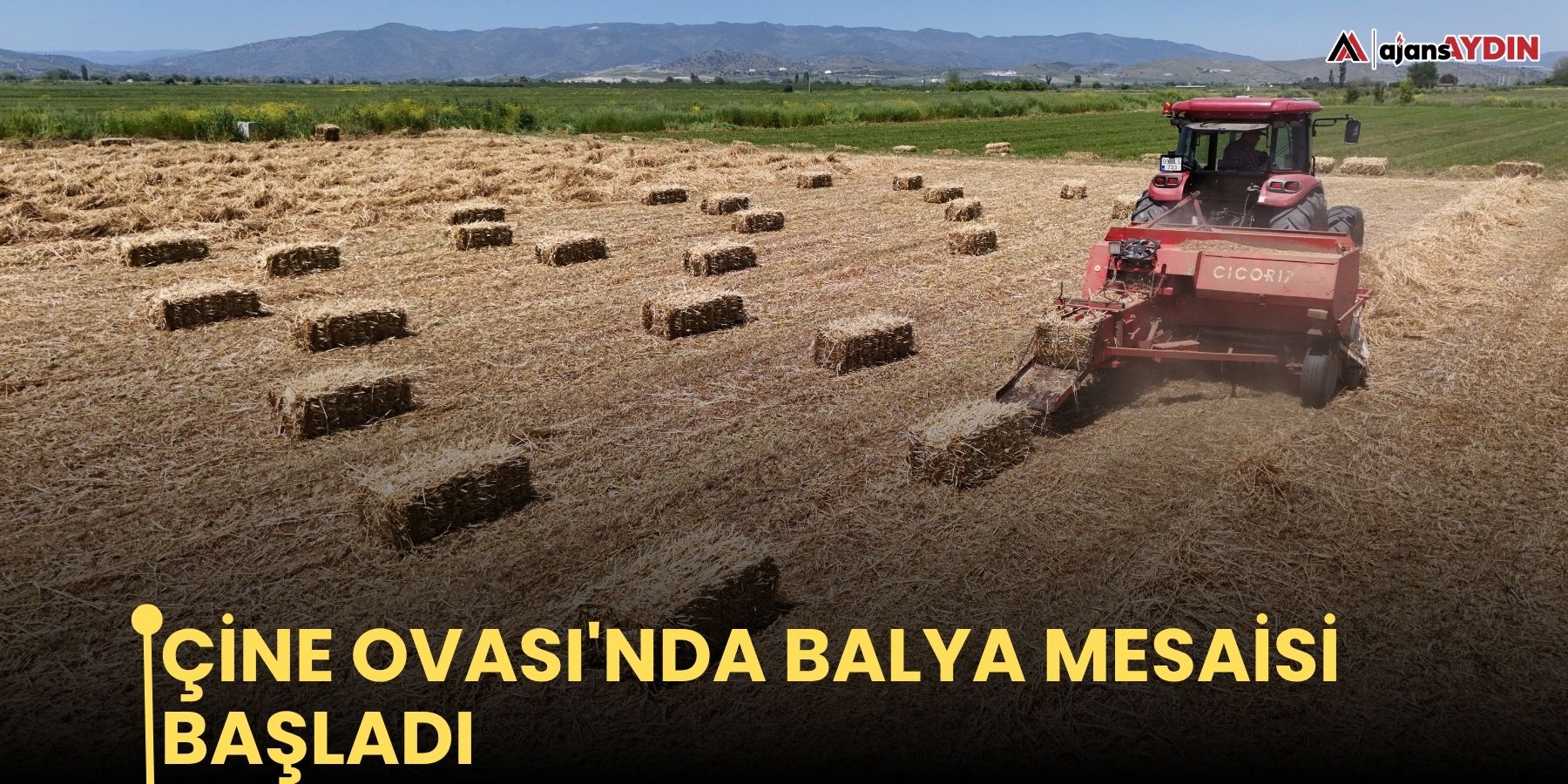 Çine Ovası'nda balya mesaisi başladı