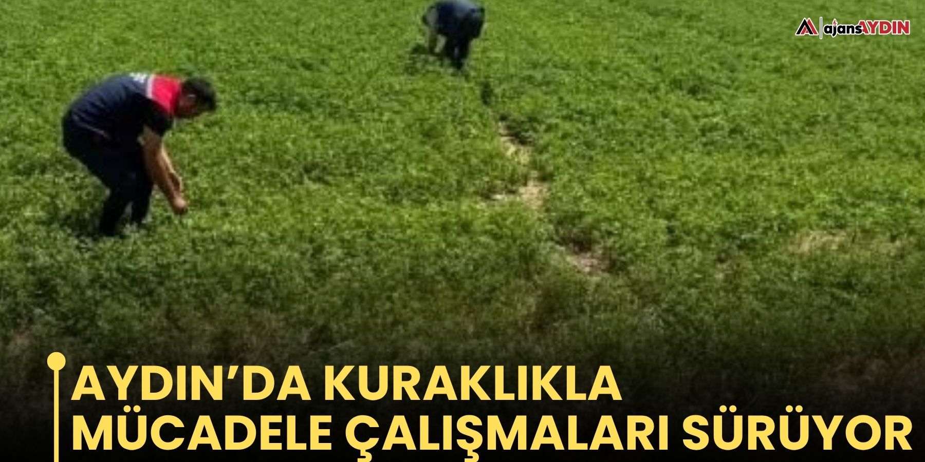 Aydın’da kuraklıkla mücadele çalışmaları sürüyor