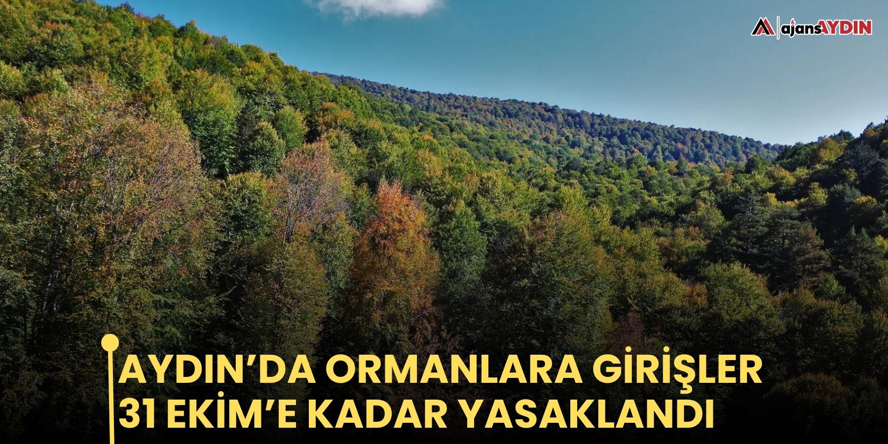 Aydın’da ormanlara girişler 31 Ekim’e kadar yasaklandı