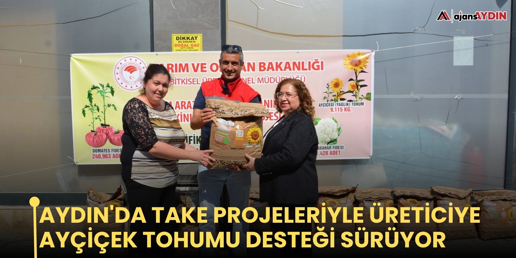 Aydın'da TAKE projeleriyle üreticiye ayçiçek tohumu desteği sürüyor