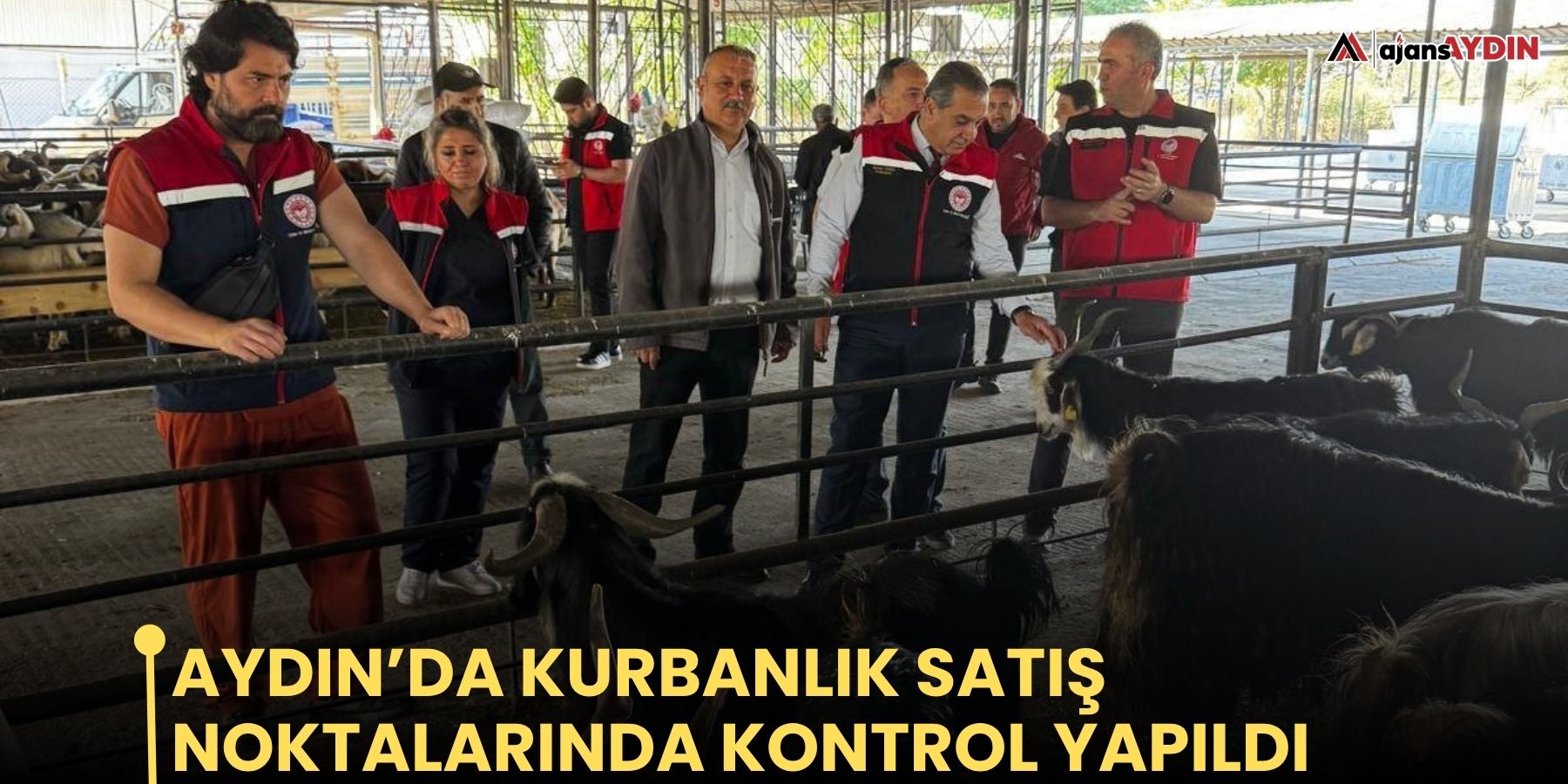 Aydın’da kurbanlık satış noktalarında kontrol yapıldı