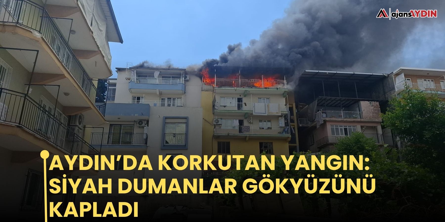 Aydın’da korkutan yangın: Siyah dumanlar gökyüzünü kapladı