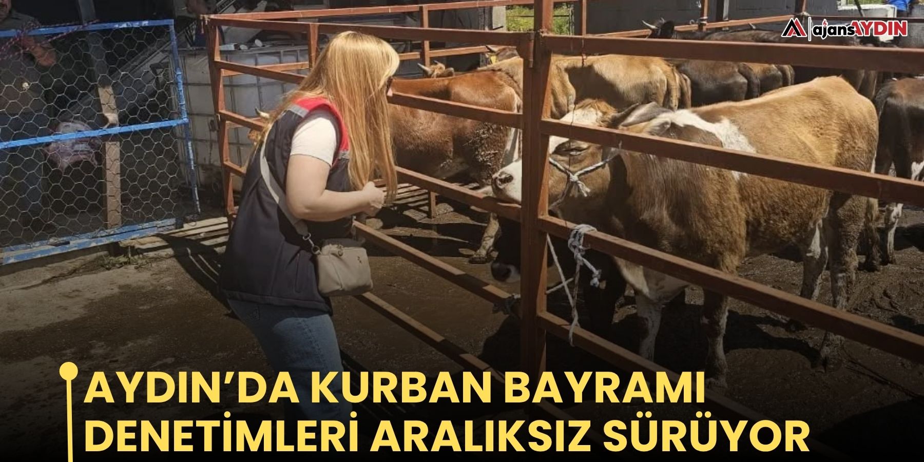Aydın’da Kurban Bayramı denetimleri aralıksız sürüyor