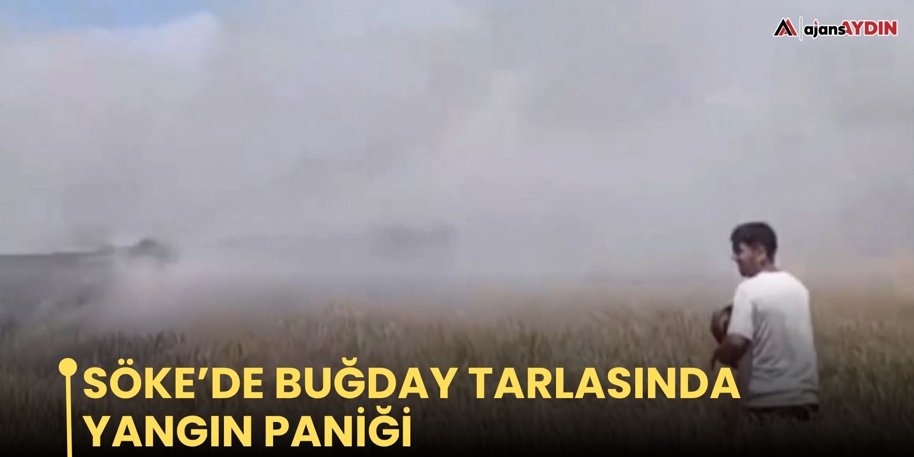 Söke’de Buğday Tarlasında Yangın Paniği