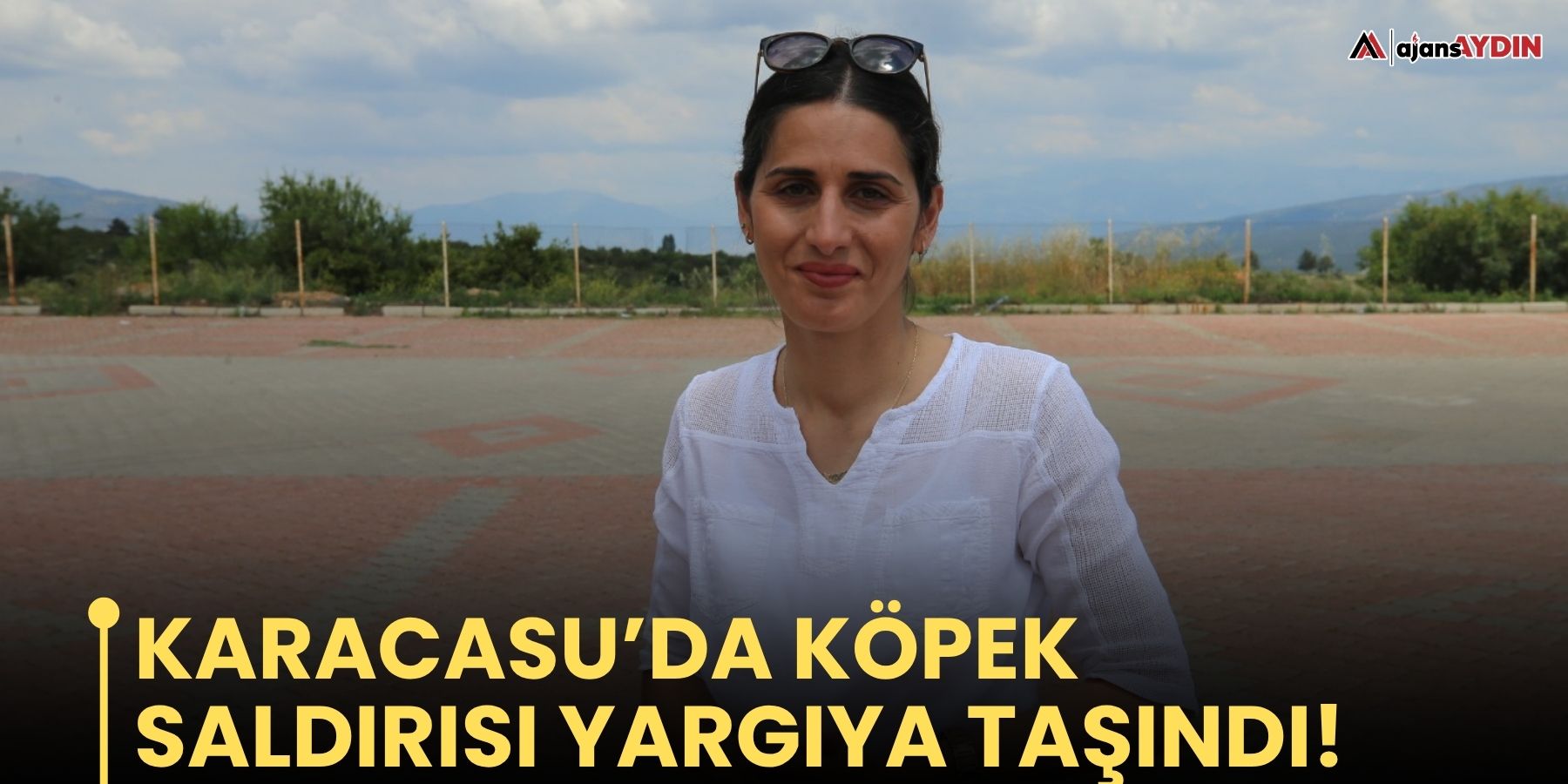Karacasu’da köpek saldırısı yargıya taşındı!