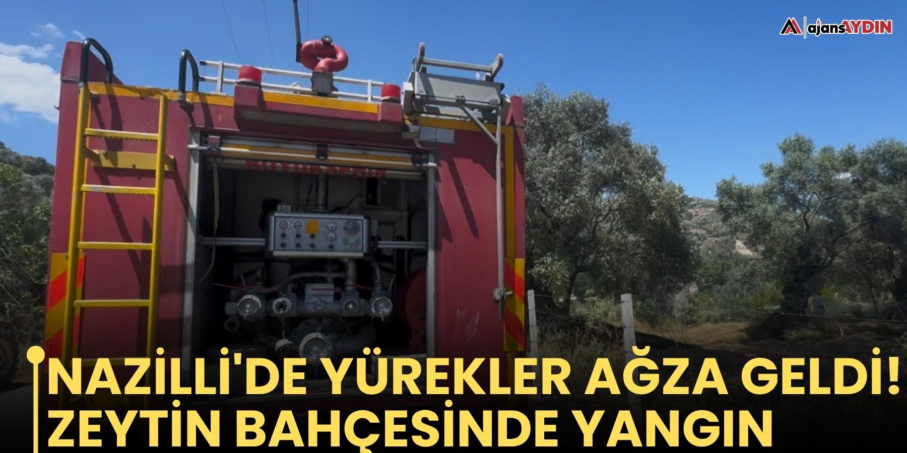 Nazilli'de yürekler ağza geldi!   Zeytin bahçesinde yangın