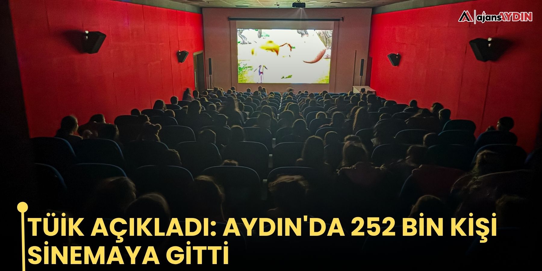 TÜİK açıkladı: Aydın'da 252 bin kişi sinemaya gitti