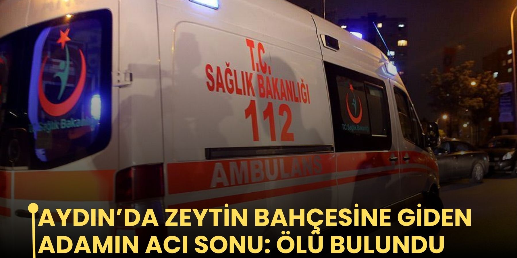 Aydın’da zeytin bahçesine giden adamın acı sonu: ölü bulundu