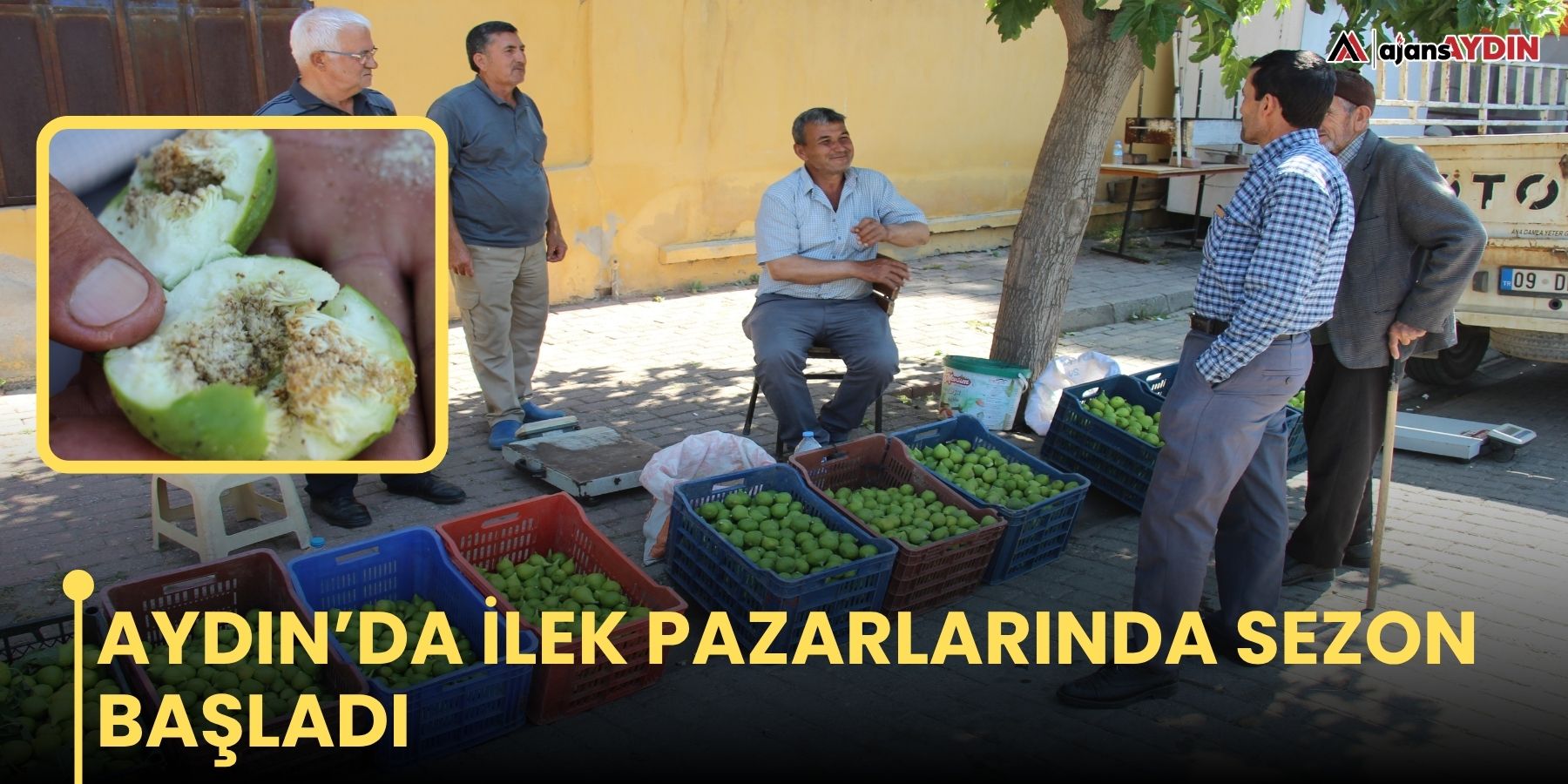 Aydın’da ilek pazarlarında sezon başladı