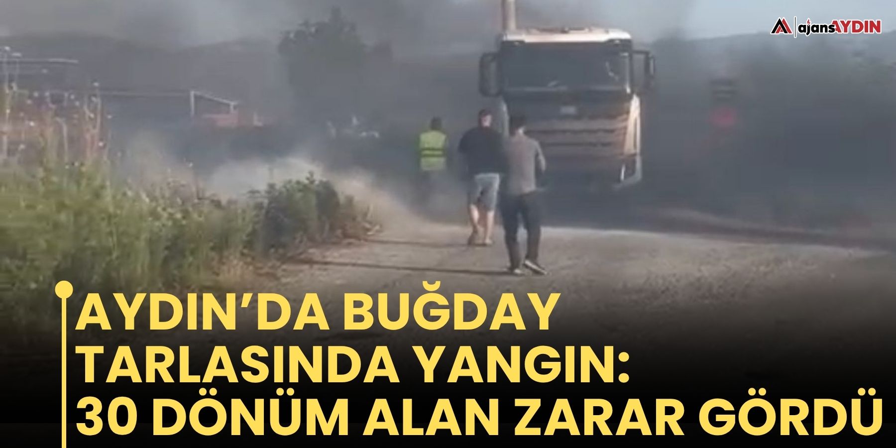 Aydın’da buğday tarlasında yangın: 30 dönüm alan zarar gördü