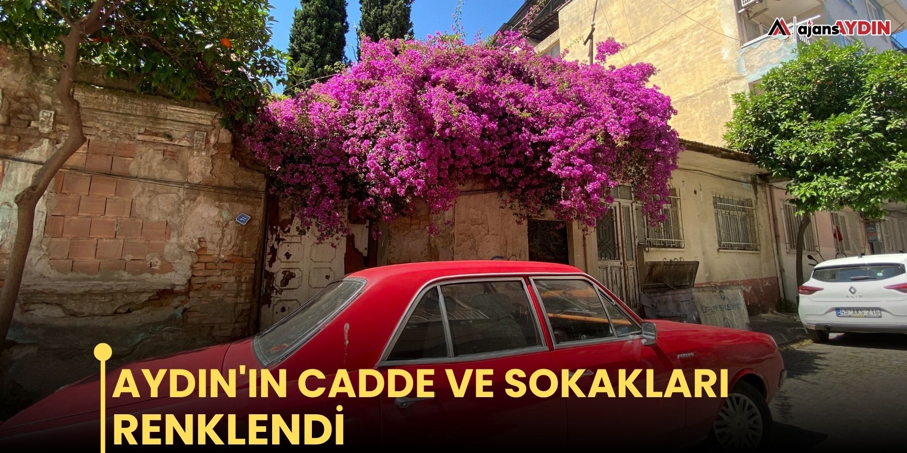 Aydın'ın cadde ve sokakları renklendi