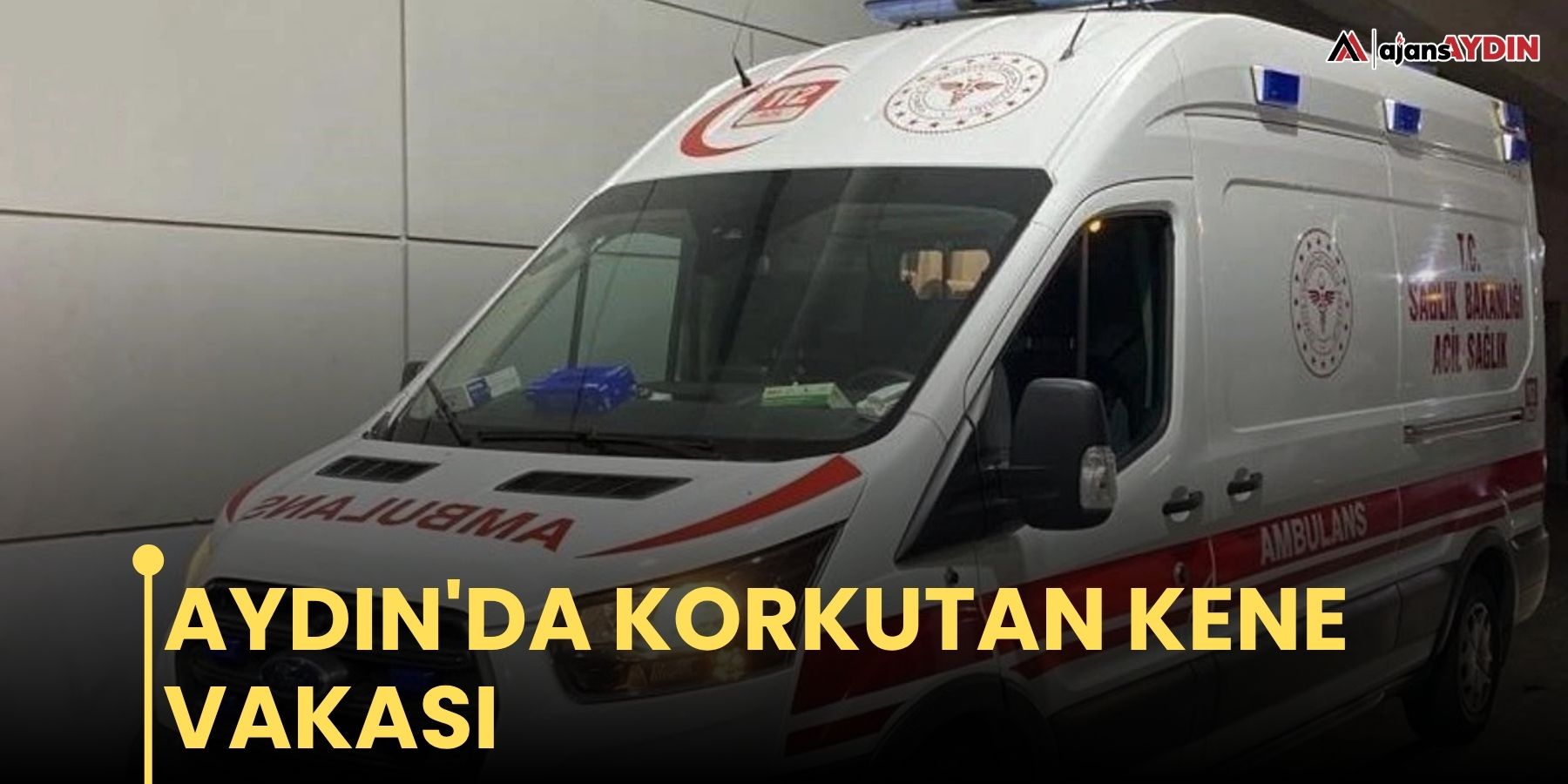Aydın'da korkutan kene vakası