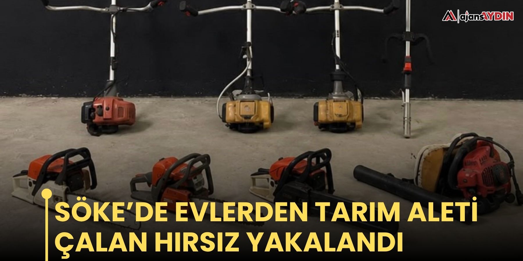 Söke’de evlerden tarım aleti çalan hırsız yakalandı