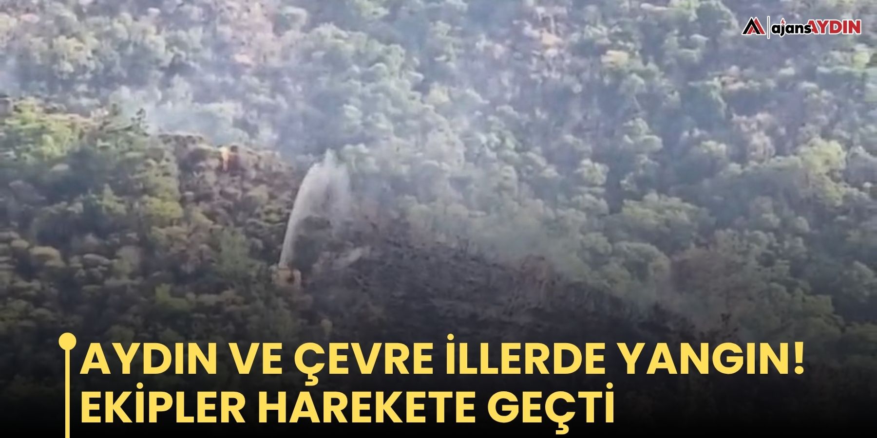 Aydın ve çevre illerde yangın!   Ekipler harekete geçti