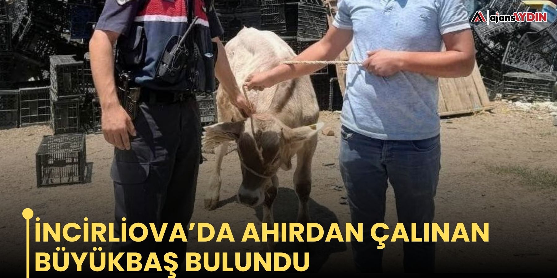 İncirliova’da ahırdan çalınan büyükbaş bulundu
