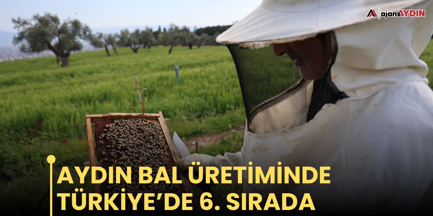 Aydın bal üretiminde Türkiye’de 6'ncı sırada