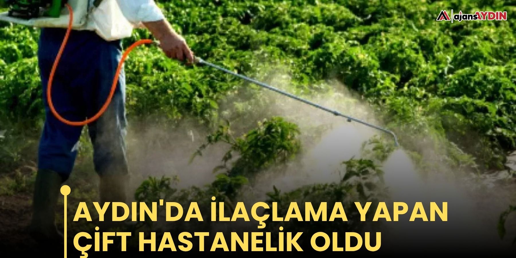 Aydın'da ilaçlama yapan çift hastanelik oldu