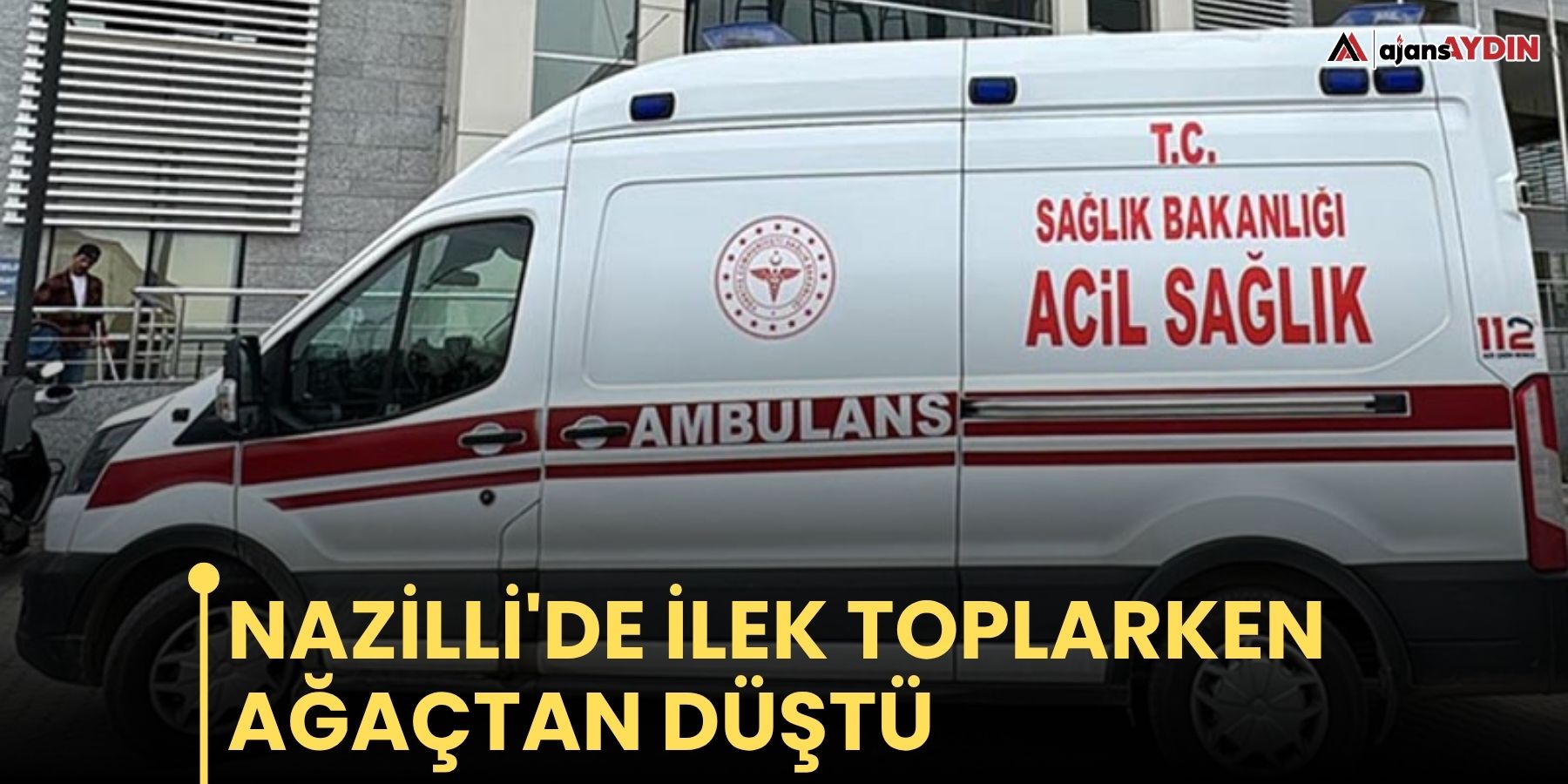 Nazilli'de ilek toplarken ağaçtan düştü