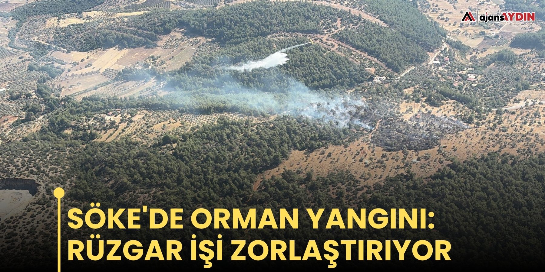 Söke'de orman yangını: rüzgar işi zorlaştırıyor
