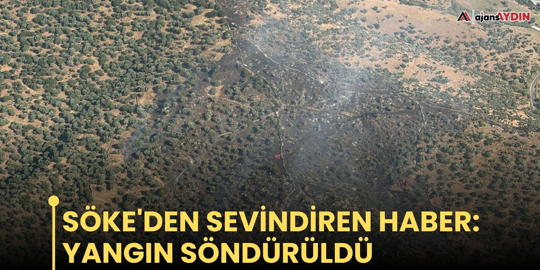 Söke'den sevindiren haber: yangın söndürüldü