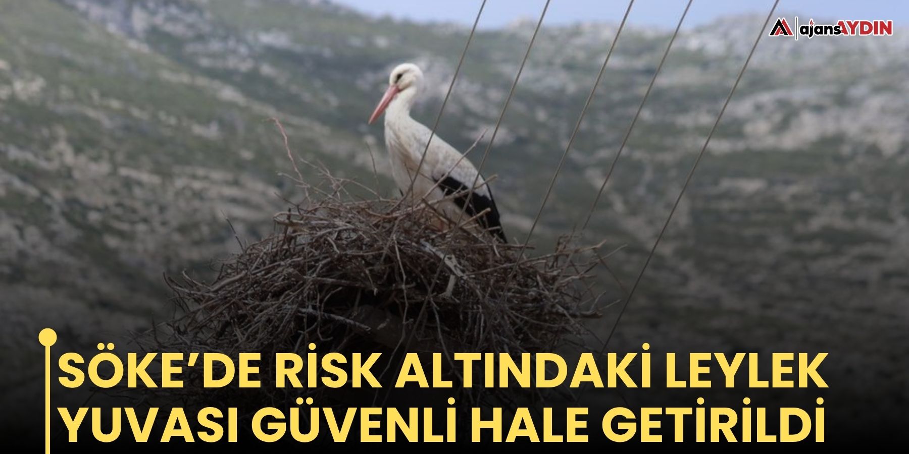 Söke’de risk altındaki leylek yuvası güvenli hale getirildi