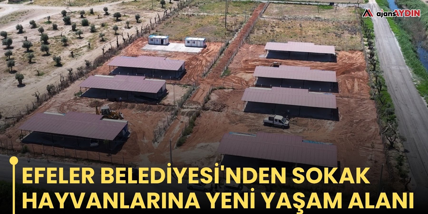 Efeler Belediyesi'nden sokak hayvanlarına yeni yaşam alanı