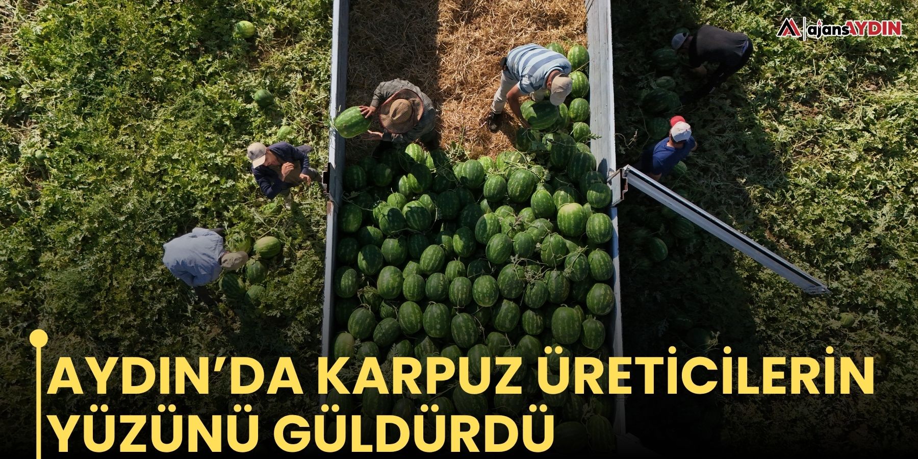 Aydın’da karpuz üreticilerin yüzünü güldürdü