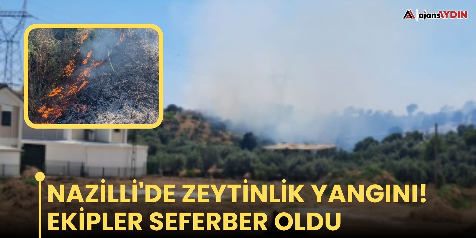 Nazilli'de zeytinlik yangını! Ekipler seferber oldu