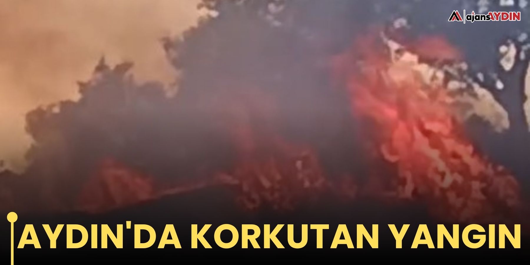 Aydın'da korkutan yangın