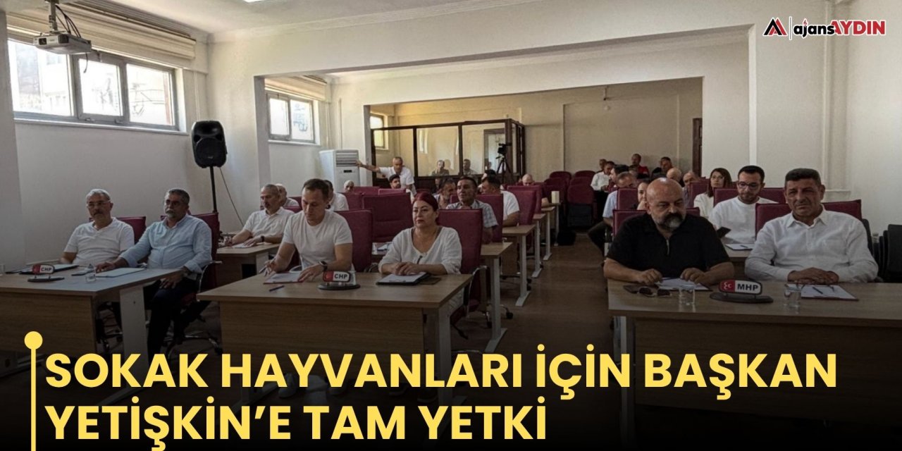 Sokak hayvanları için Başkan Yetişkin’e tam yetki