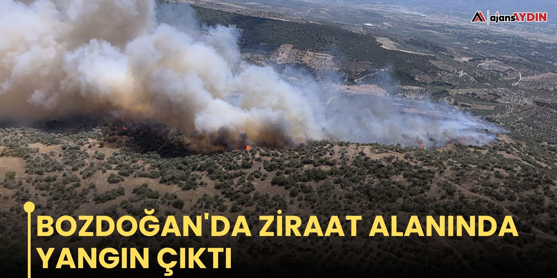 Bozdoğan'da ziraat alanında yangın çıktı