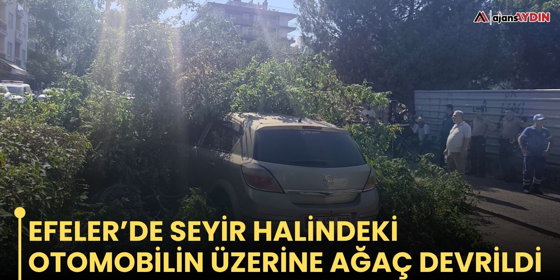 Efeler’de seyir halindeki otomobilin üzerine ağaç devrildi