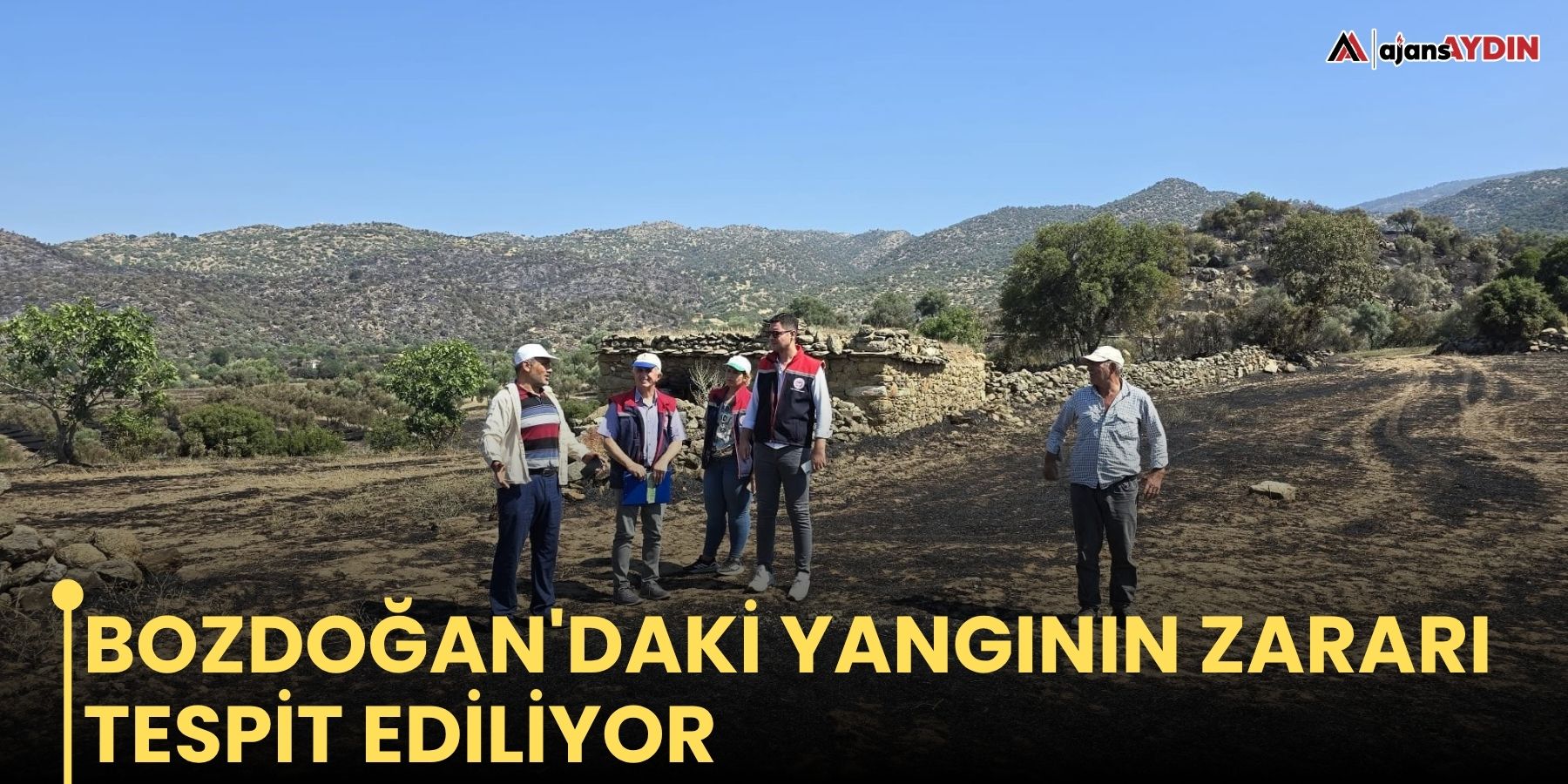 Bozdoğan'daki yangının zararı tespit ediliyor