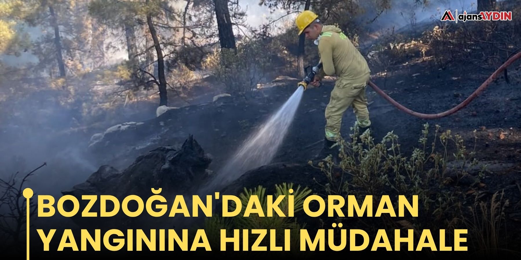 Bozdoğan'daki orman yangınına hızlı müdahale