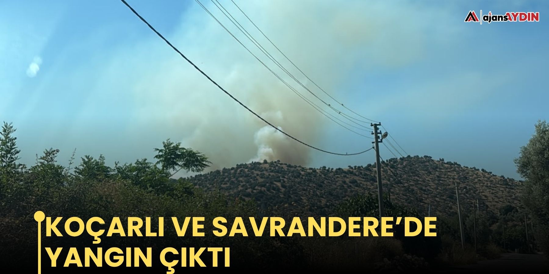 Koçarlı ve Savrandere’de yangın çıktı