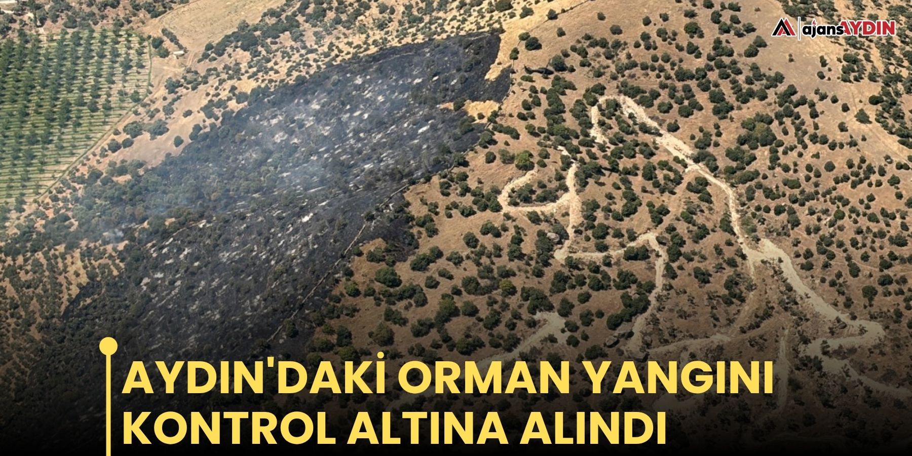 Aydın'daki orman yangını kontrol altına alındı