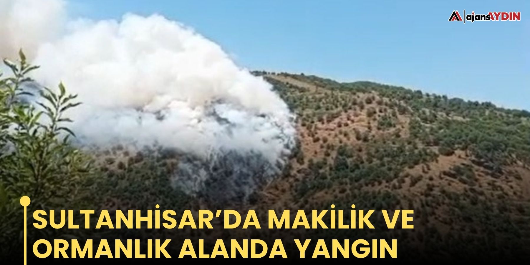 Sultanhisar’da makilik ve ormanlık alanda yangın çıktı