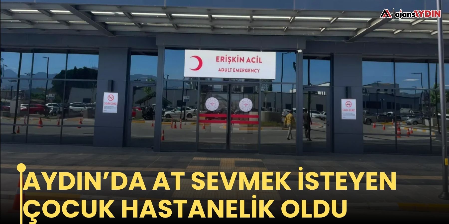 Aydın’da at sevmek isteyen çocuk hastanelik oldu