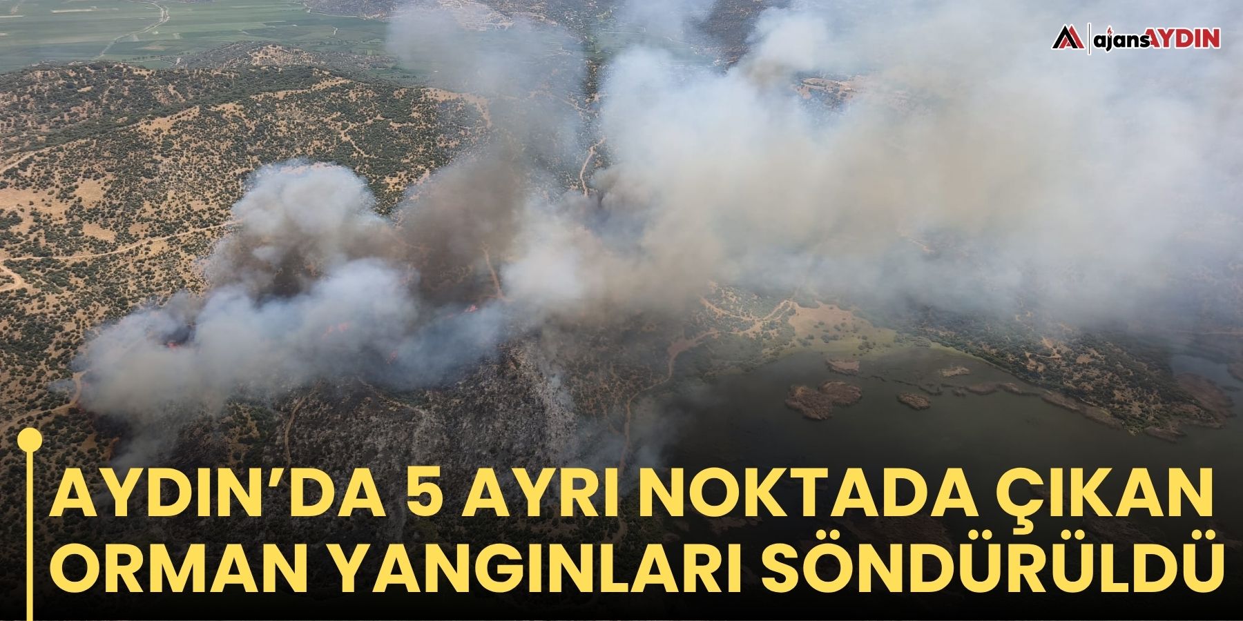 Aydın’da 5 Ayrı Noktada Çıkan Orman Yangınları Söndürüldü