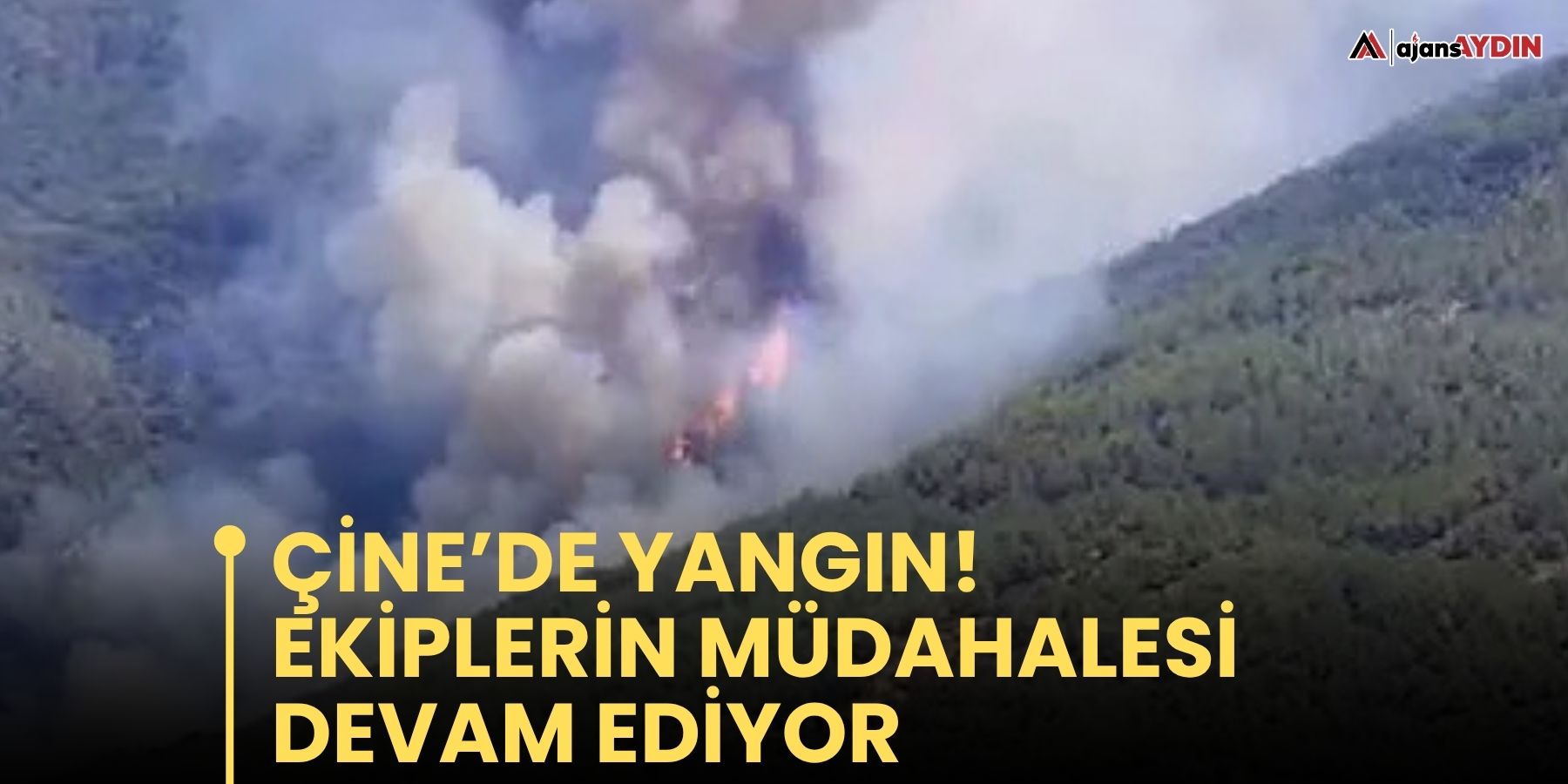 Çine’de yangın!  Ekipler seferber oldu